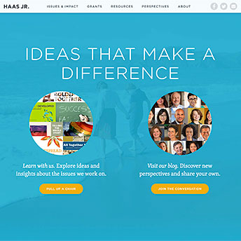 Evelyn and Walter Haas, Jr. Fund